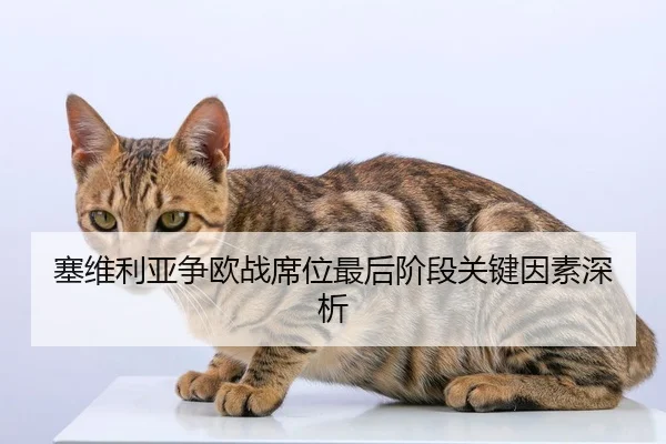 塞维利亚争欧战席位最后阶段关键因素深析（QYH）