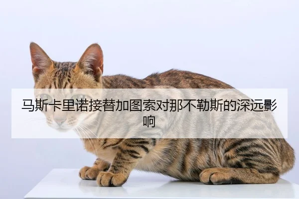 马斯卡里诺接替加图索对那不勒斯的深远影响（QYH）